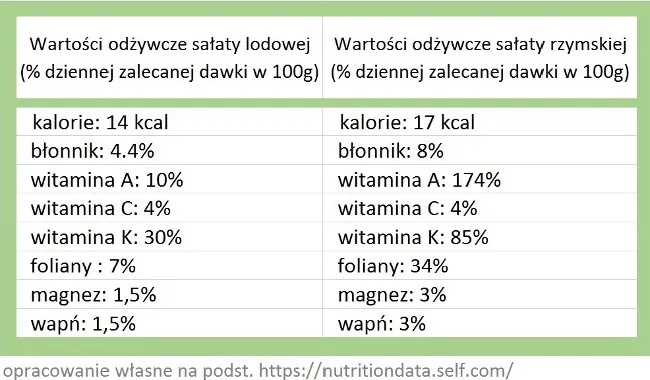 Zdjęcie Ile kalorii ma sałata lodowa w różnych porcjach - kompletny poradnik