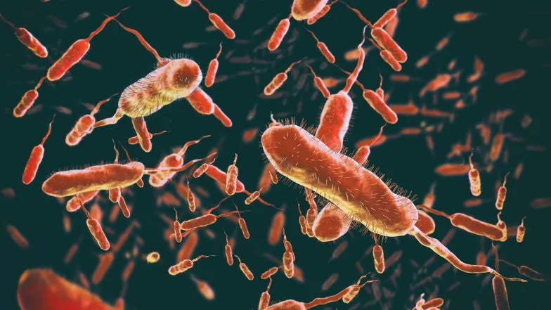 Zdjęcie Czy cholera to grzech? Prawda o moralnych konotacjach choroby