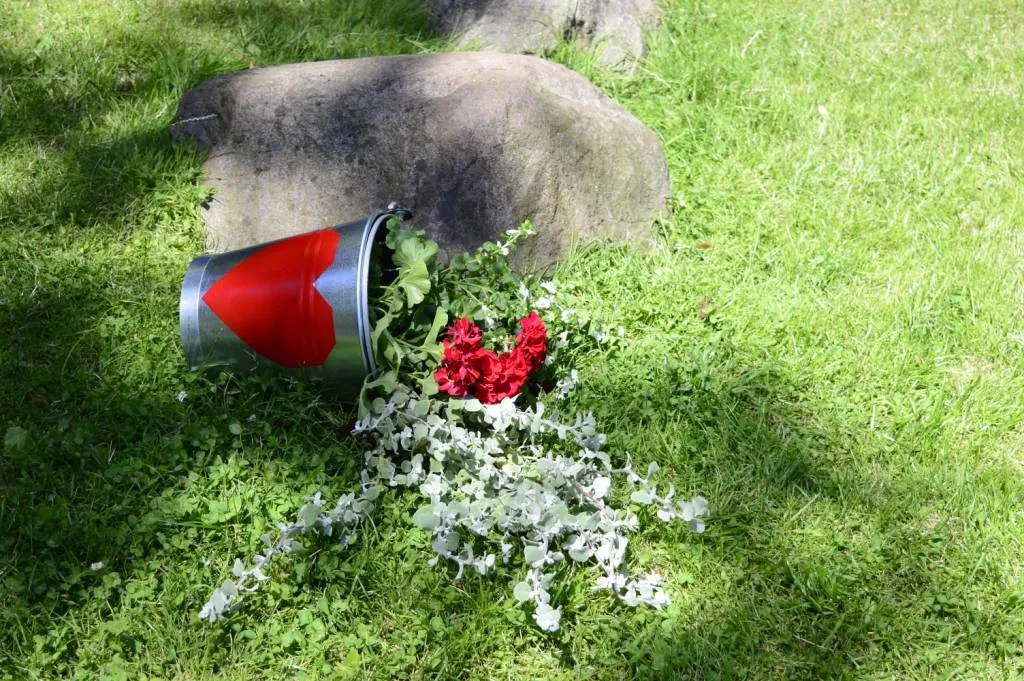 Zdjęcie Wylewające się kwiaty z doniczki: Praktyczny przewodnik DIY