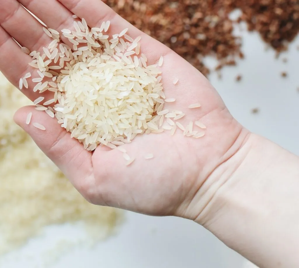 Zdjęcie Ile ryżu do zupy? 4-5 łyżek na litr to sekret idealnej konsystencji