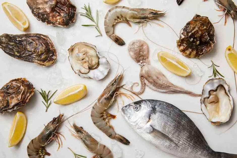 Zdjęcie Gdzie zjeść w Szczecinie? Najlepsze restauracje, które musisz poznać