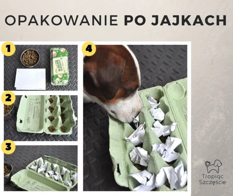 Zdjęcie Jak zrobić zabawkę dla psa: tanie i kreatywne pomysły DIY