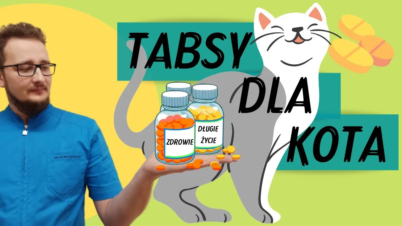Zdjęcie Jak podać kotu tabletkę na odrobaczanie bez stresu i problemów