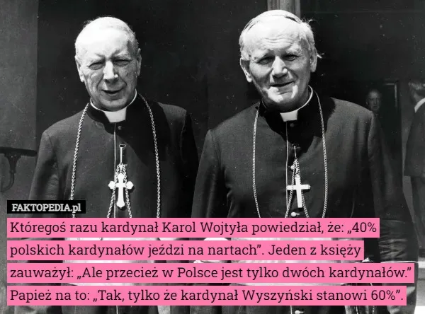 Zdjęcie Obecni kardynałowie w Polsce: ich wpływ i znaczenie w Kościele