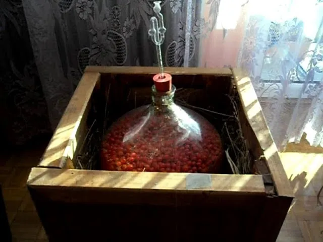 Zdjęcie Wino z dzikiej róży: Domowy przepis na aromatyczne wino z dzikiej róży
