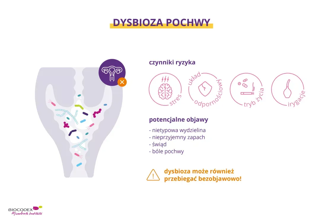 Zdjęcie Mikrobiom pochwy: Jak wpływa na zdrowie intymne? Fakty
