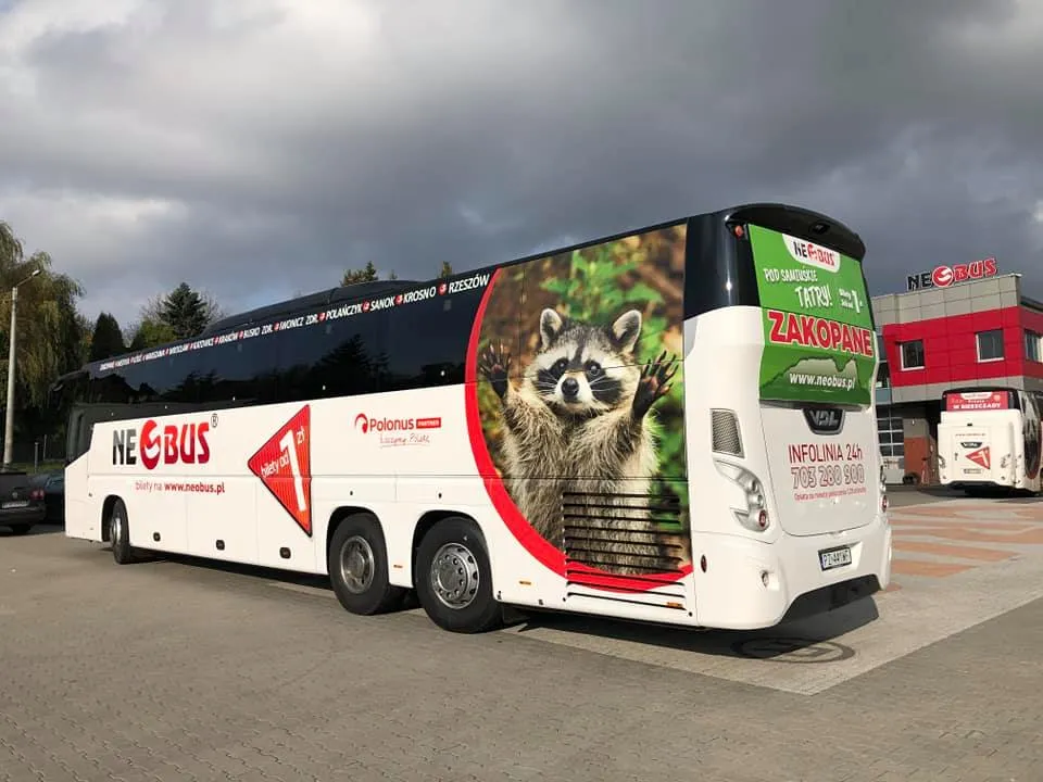 Zdjęcie Neobus czy można kupić bilet u kierowcy? Sprawdź, jak to zrobić