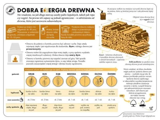 Zdjęcie Ile kosztuje kubik drewna na dach? Poznaj ukryte koszty i ceny