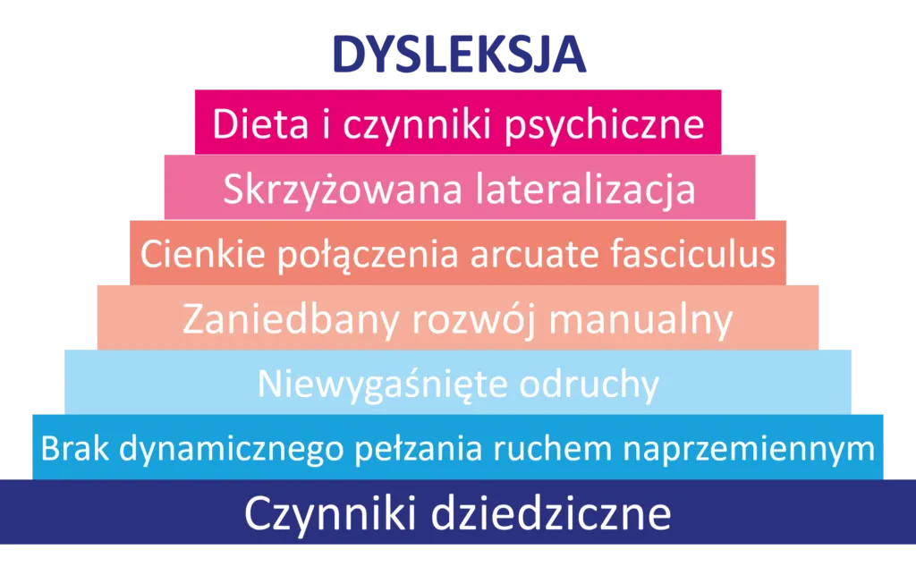 Zdjęcie Jak wygląda badanie na dysleksję - kompletny proces diagnostyczny dla rodzica