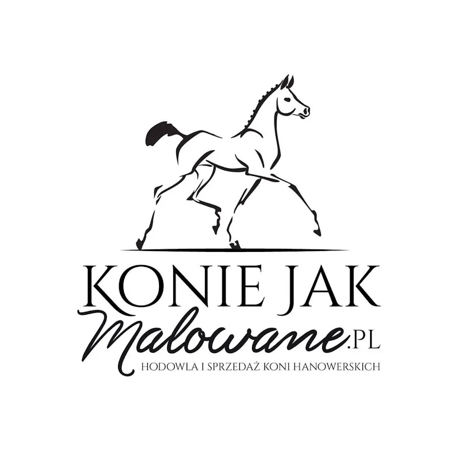 Zdjęcie Konie jak malowane: odkryj piękno sztuki i hodowli koni