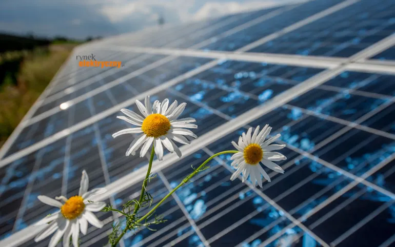 Zdjęcie Instalacja fotowoltaiczna 6 kW – ile prądu naprawdę wyprodukuje?