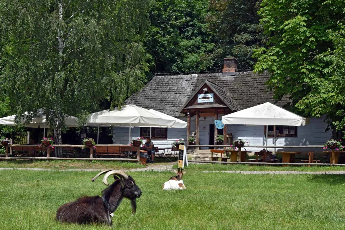 Zdjęcie Skansen Lublin godziny otwarcia – nie przegap idealnego czasu na wizytę