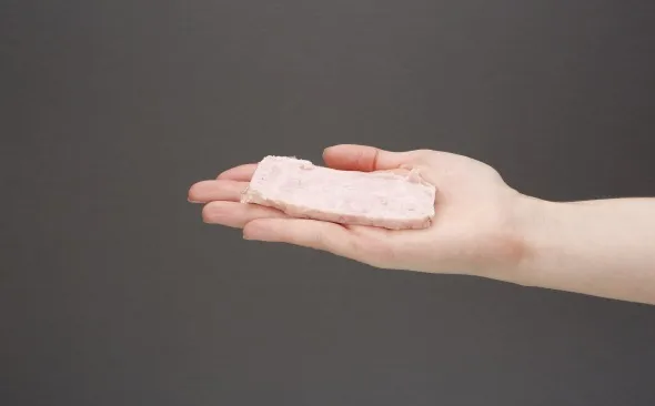Zdjęcie Ile kalorii ma plaster szynki drobiowej? Sprawdź szczegóły!