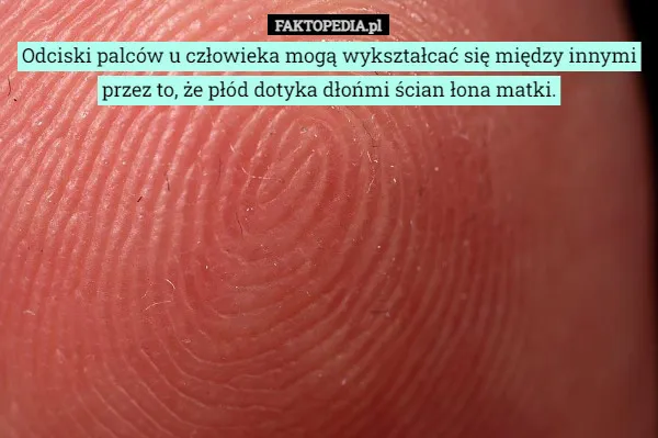 Zdjęcie Czy woda zmywa odciski palców? Oto prawda, która zaskakuje