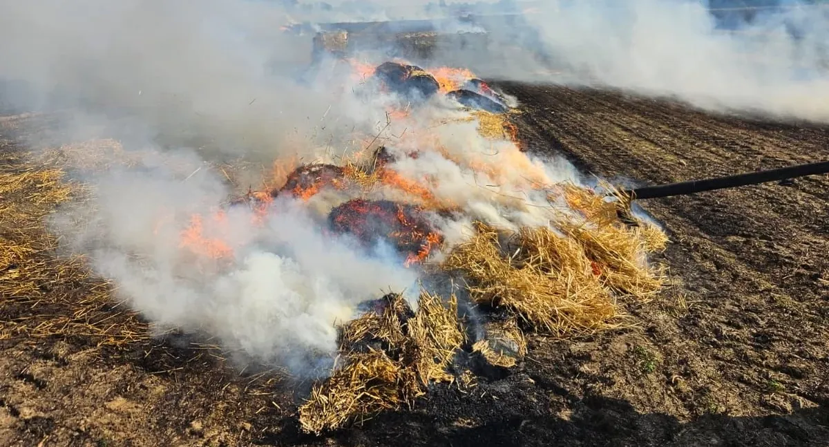 Zdjęcie Pożar zboża na pniu – co to znaczy i jak uniknąć tragedii?