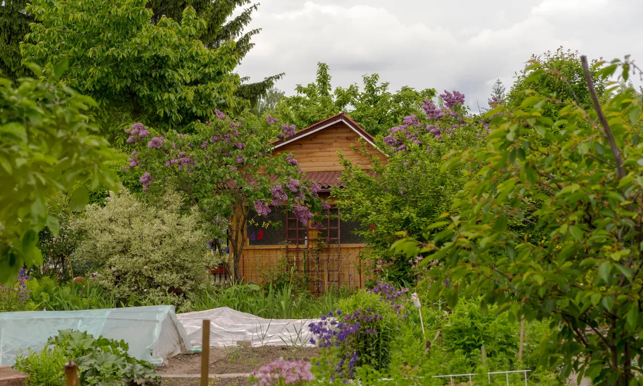 Zdjęcie Jak kupić działkę ROD - uniknij błędów i poznaj wymagania prawne