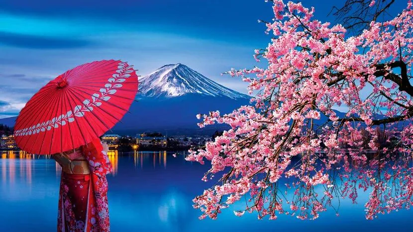 Zdjęcie Czy w Japonii jest bezpiecznie? Prawda o bezpieczeństwie w kraju kwitnącej wiśni