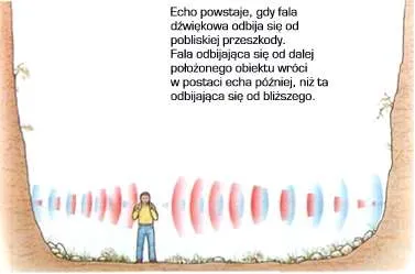 Zdjęcie Jak człowiek wykorzystuje zjawisko echolokacji w codziennym życiu
