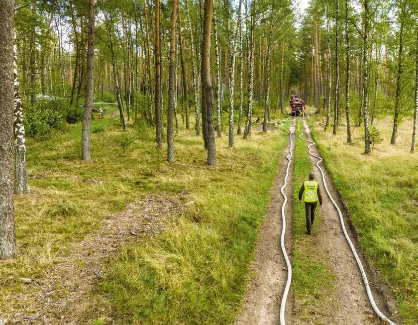 Zdjęcie Stowarzyszenie na rzecz zrównoważonego rozwoju Polski - walka o lasy