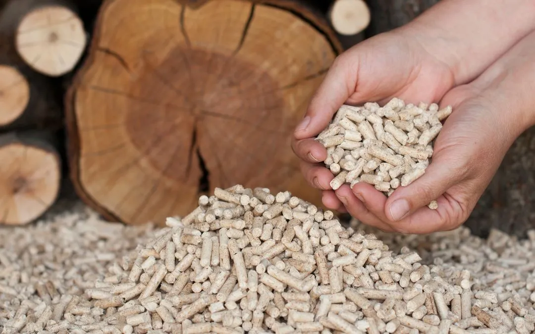 Zdjęcie Kiedy pellet jest najtańszy? Oszczędzaj na ogrzewaniu w sezonie