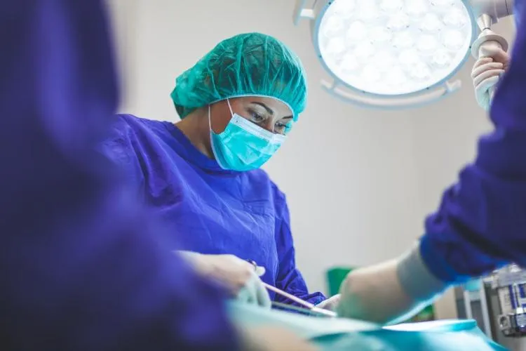 Zdjęcie Co robi weterynarz? Poznaj jego kluczowe obowiązki i zadania