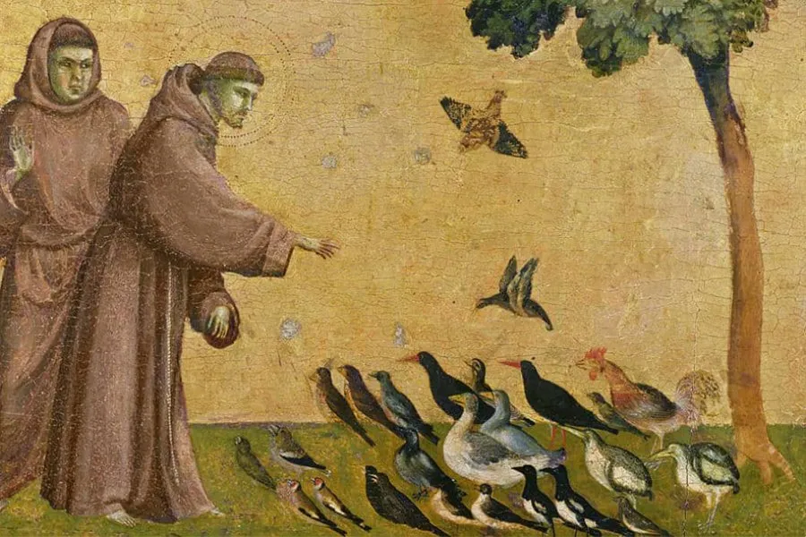 Zdjęcie Święty Franciszek - patron ekologistów, zwierząt i biednych, jego nauki