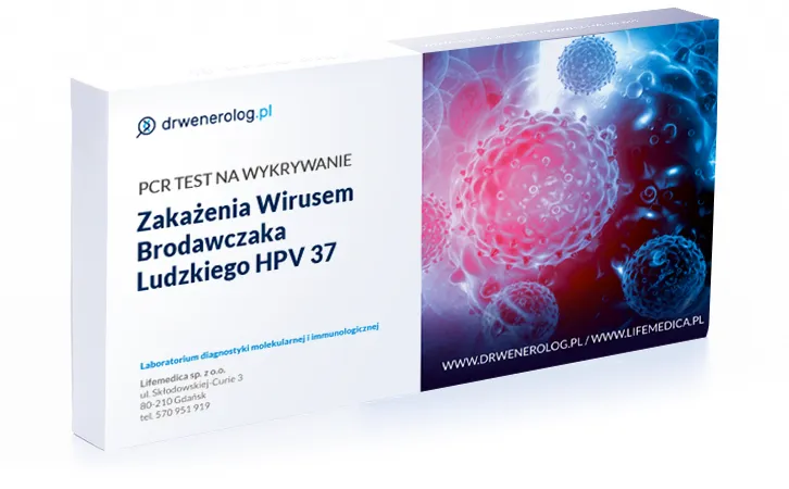 Zdjęcie Jak wygląda badanie HPV u mężczyzn - poznaj przebieg i sposób przygotowania