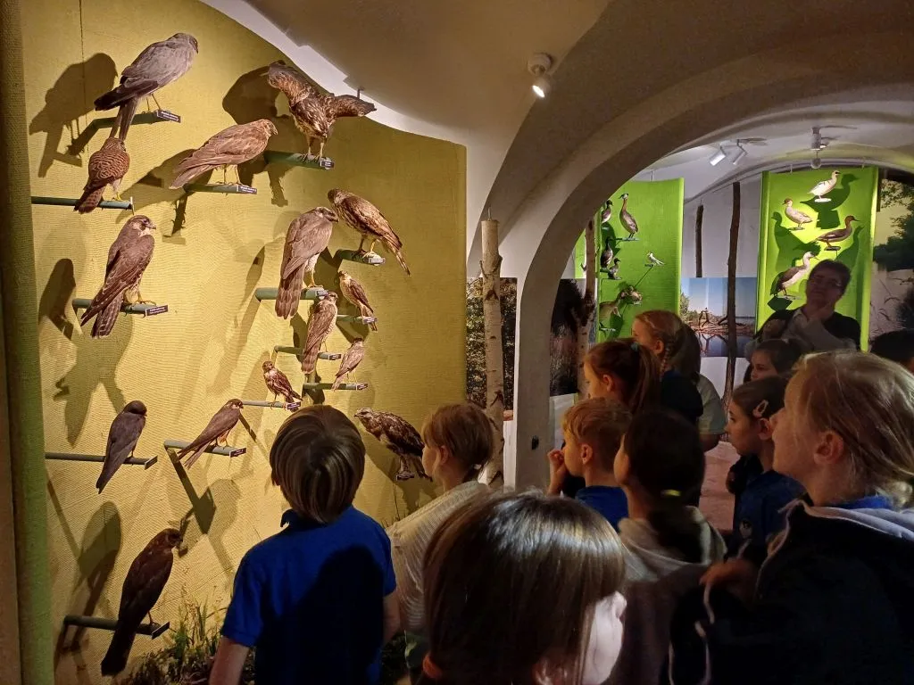 Zdjęcie Praca w Muzeum Łowiectwa i Jeździectwa – oferty i wymagania zatrudnienia