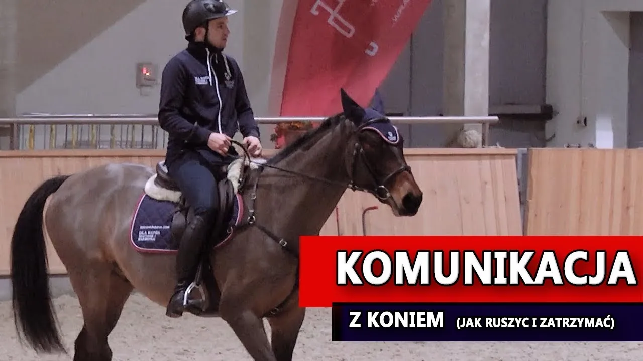 Zdjęcie Jak zatrzymać konia: skuteczne metody i techniki dla każdego jeźdźca