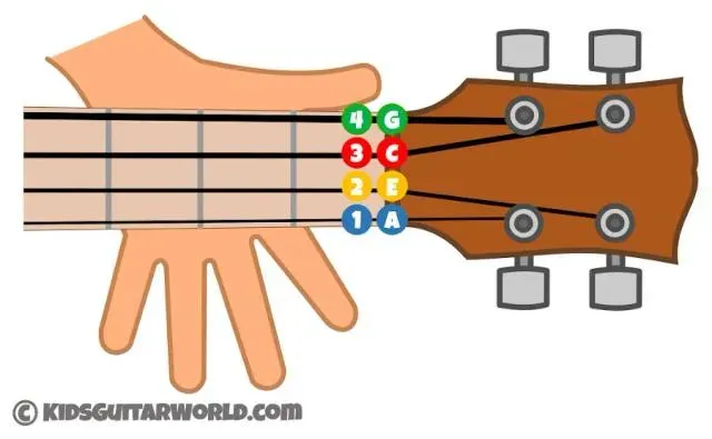 Zdjęcie Ile strun ma ukulele? Odkryj, dlaczego cztery struny są najlepsze