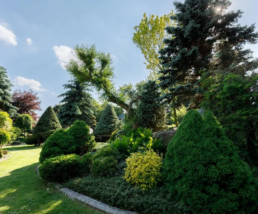 Zdjęcie Jak zaprojektować ogr&oacute;d: przewodnik krok po kroku do wymarzonej przestrzeni