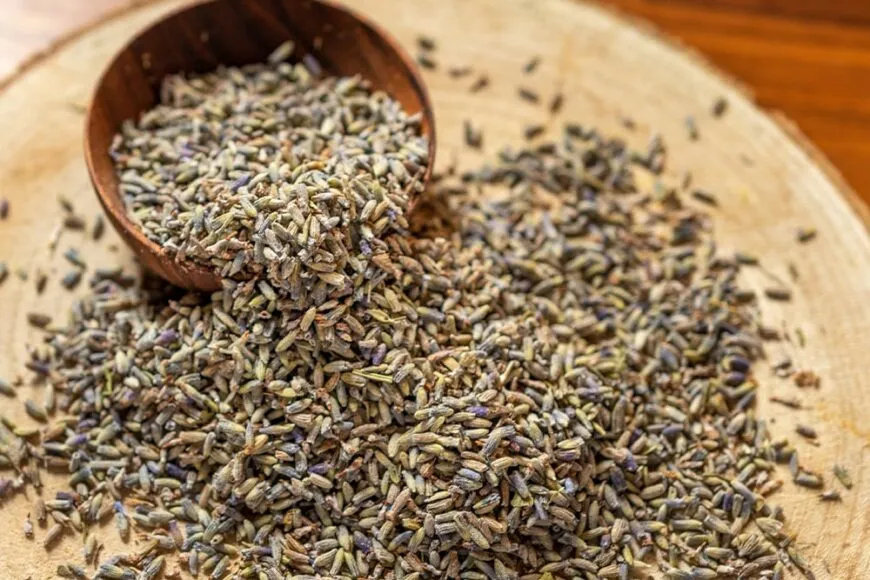 Zdjęcie Jak łączyć olejki eteryczne do dyfuzora? Proste przepisy i porady