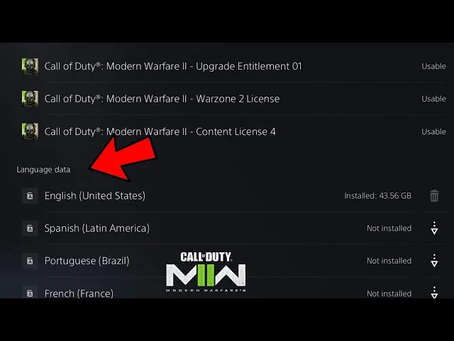Zdjęcie Spolszczenie Call of Duty 2: Jak bez problemu dodać język polski do gry