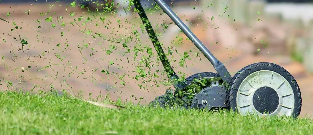 Zdjęcie Jak skutecznie dosiać trawę na istniejący trawnik i uniknąć błędów