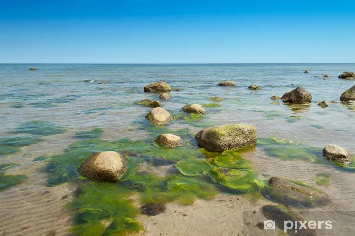 Zdjęcie Czysta woda w Bałtyku gdzie ją znaleźć i które plaże są najlepsze