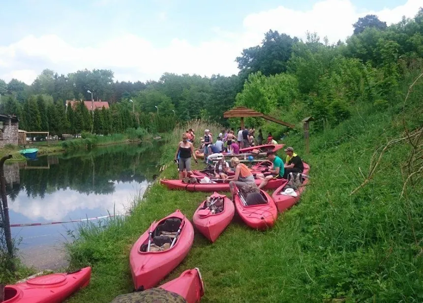 Zdjęcie Spływy kajakowe Pliszką: dzika przygoda i praktyczny przewodnik