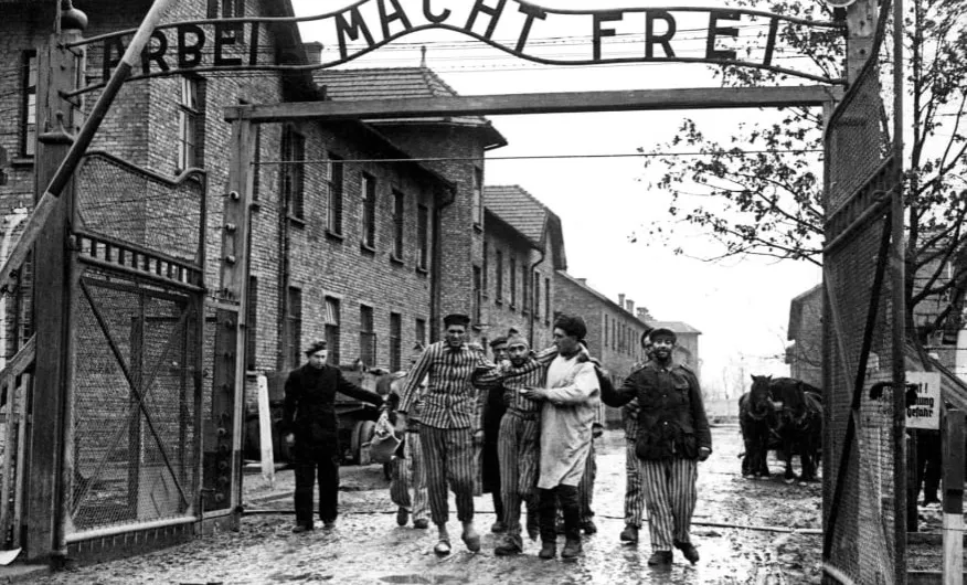 Zdjęcie Ile osób uciekło z Auschwitz? Prawda o dramatycznych ucieczkach