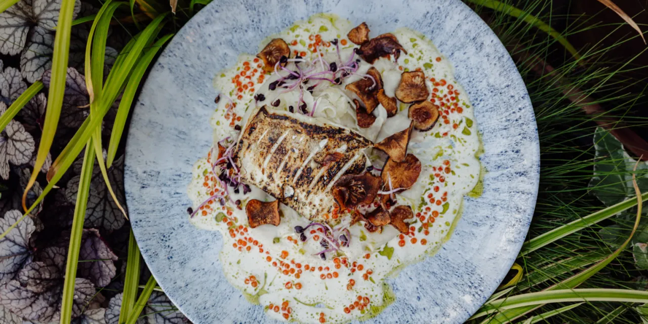 Zdjęcie Gdzie zjeść w Szklarskiej Porębie? Odkryj najlepsze restauracje i smaki