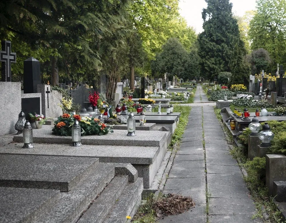 Zdjęcie Wkłady olejowe czy parafinowe – co wybrać, aby uniknąć rozczarowania?