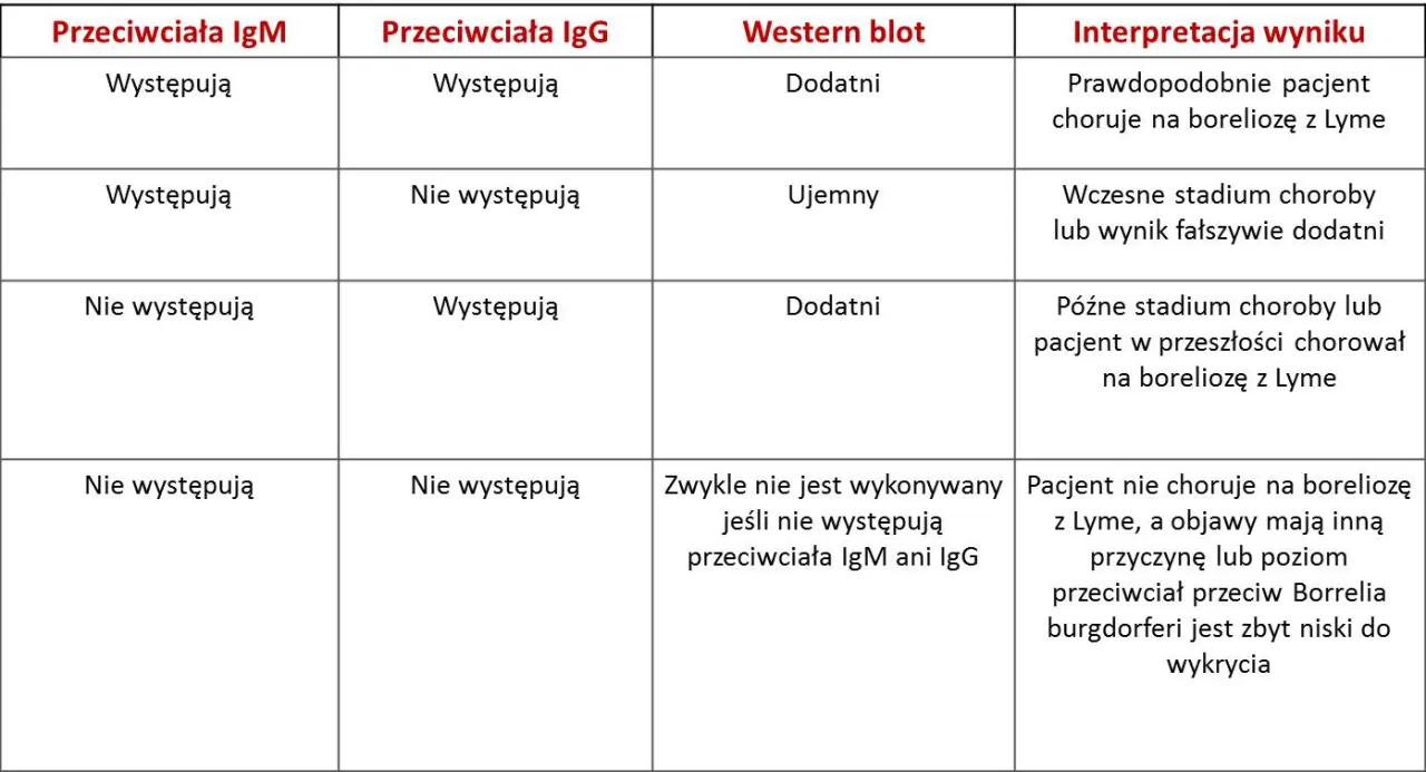 Zdjęcie Jakie badanie na boreliozę? Kluczowe informacje, które musisz znać