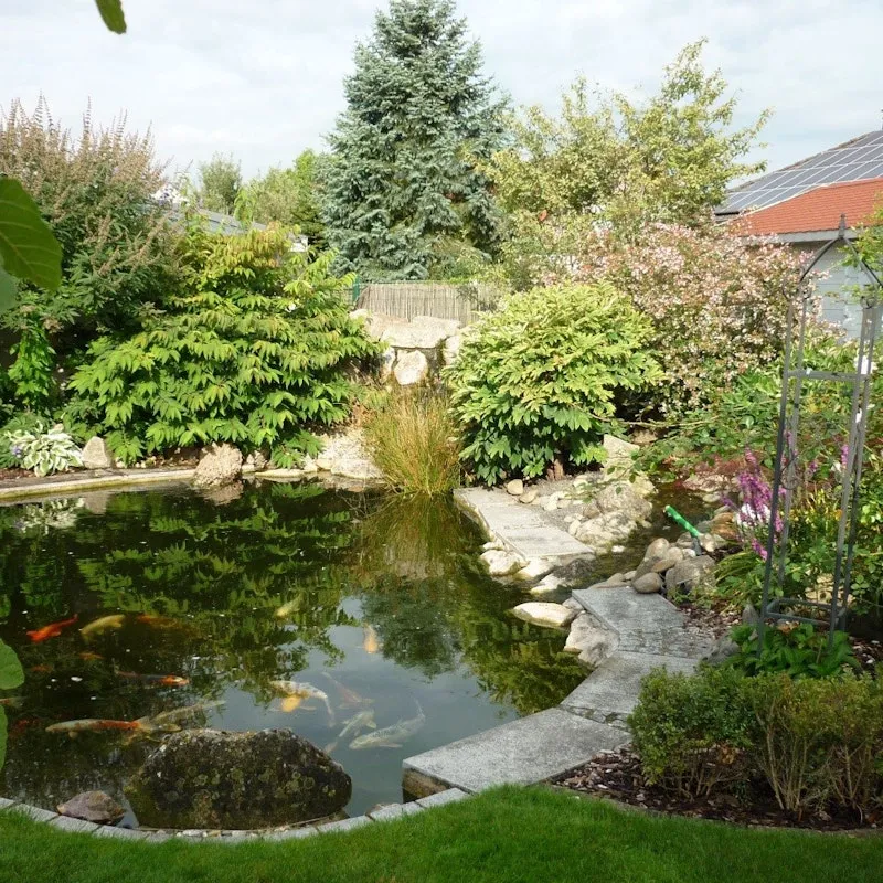Zdjęcie Wie baut man ein Teich: Einfache Schritte für den perfekten Gartenteich