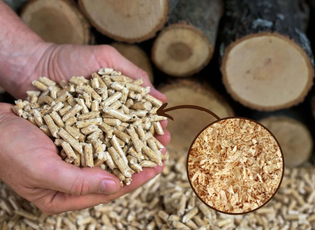 Zdjęcie Z czego zrobić pellet? Najlepsze surowce i ich zastosowanie w produkcji