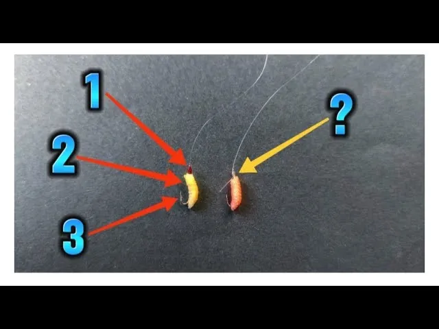 Zdjęcie Jak założyć rosówkę na haczyk, by zwiększyć szanse na ryby