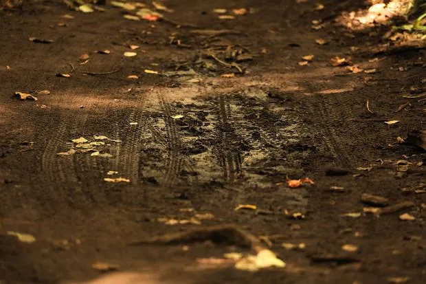 Zdjęcie Sen o błocie co oznacza? Odkryj jego ukryte znaczenie i symbolikę