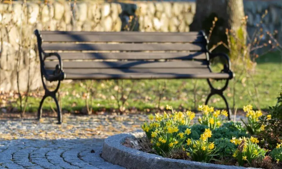 Zdjęcie Ile kosztuje ławeczka na cmentarz? Sprawdź ceny, porównaj modele i zaoszczędź