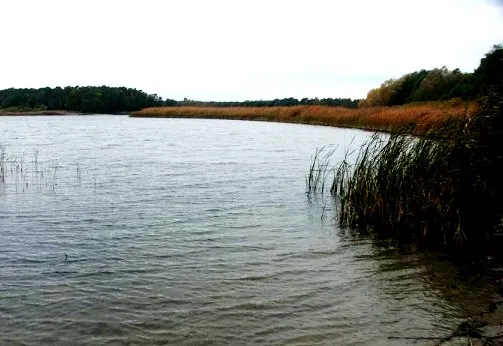 Zdjęcie Jezioro Jezuickie – piękne miejsce na relaks i przygodę w naturze