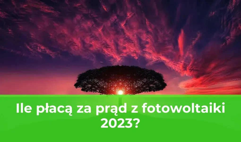 Zdjęcie Ile płacą za prąd z fotowoltaiki? Sprawdź korzystne stawki!