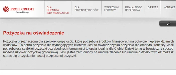 Zdjęcie Profi Credit jakie oprocentowanie – poznaj ukryte koszty pożyczek