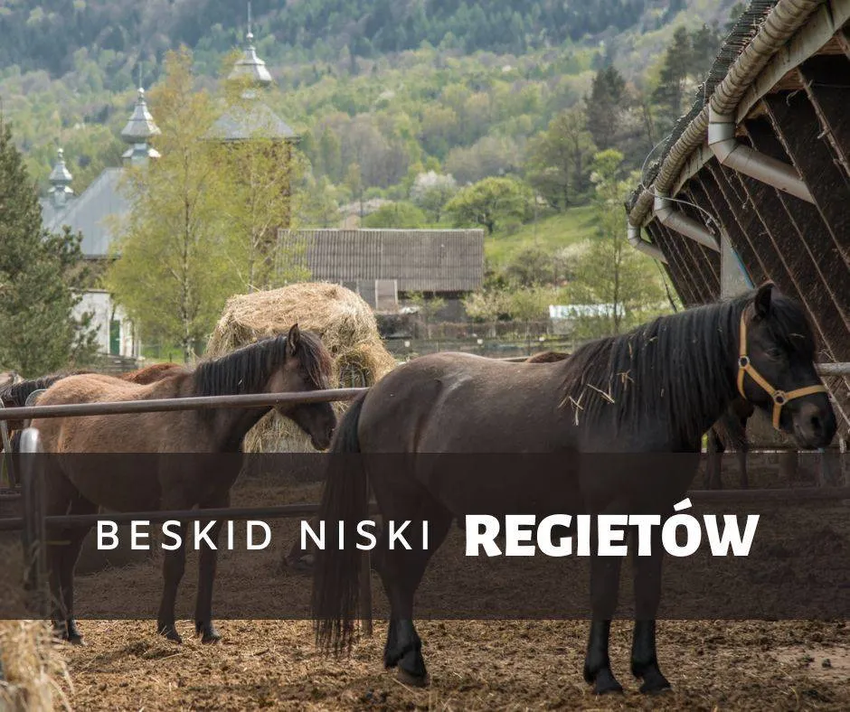 Zdjęcie Regietów atrakcje, które zaskoczą każdego miłośnika przyrody