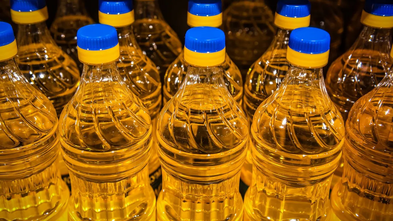 Zdjęcie Gdzie wyrzucić butelki po oleju? Unikaj błędów w recyklingu